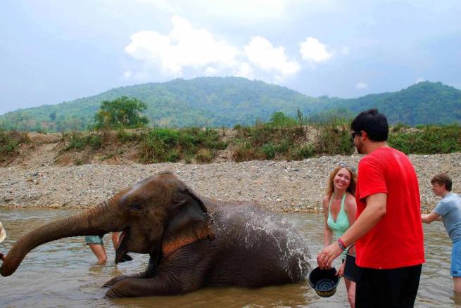 992987_10151629418298741_1051290052_n